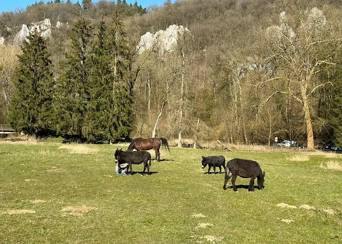 L\'Arche De Noe