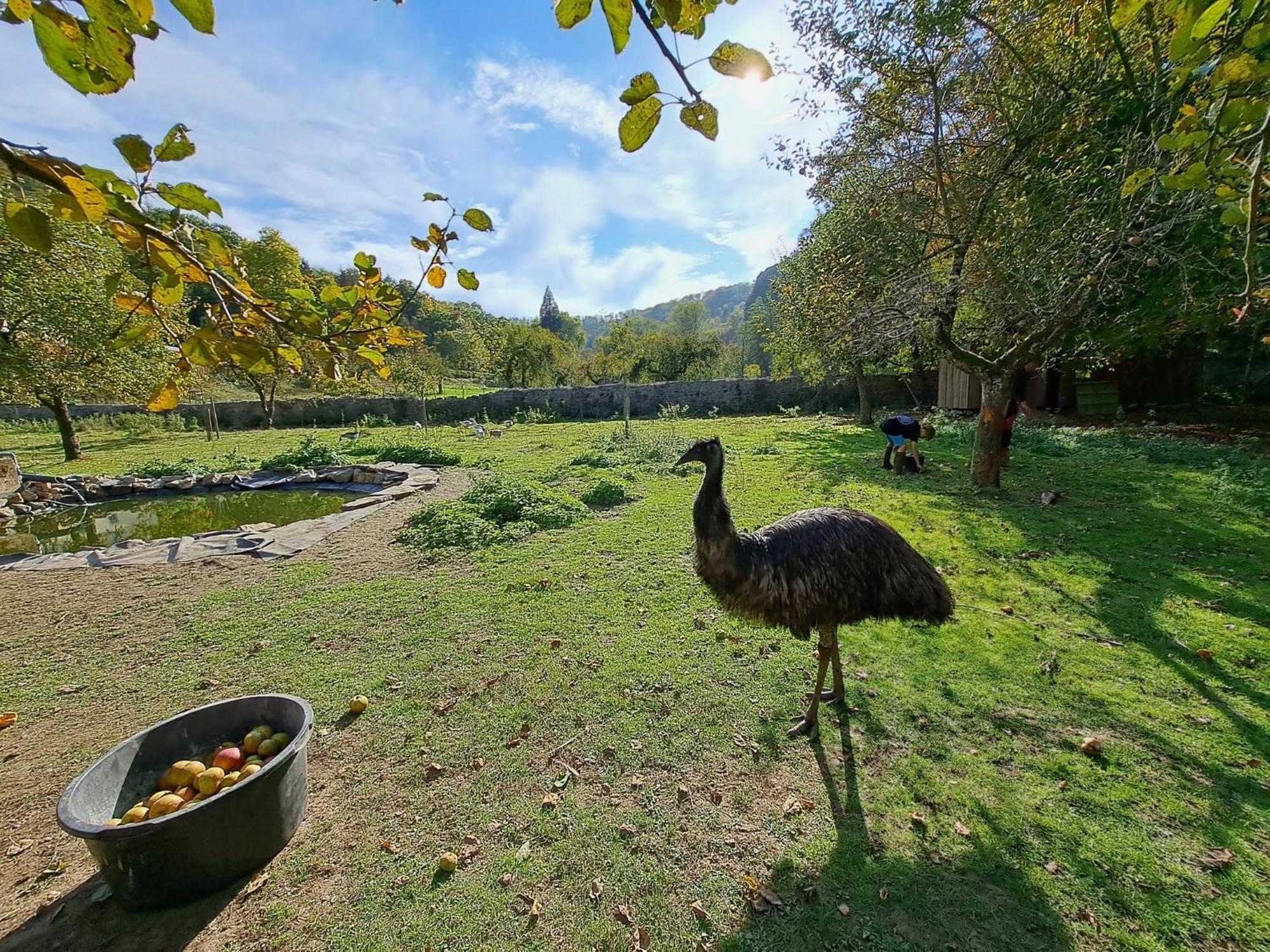 L'arche De Noe Holiday home
